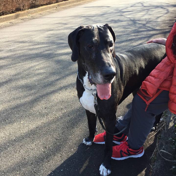 64cefeb7 dc3e 4495 93ed 974abeae459c