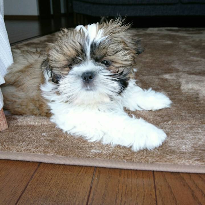 64cf7ad0 c64b 4852 944a 32816c22ff94