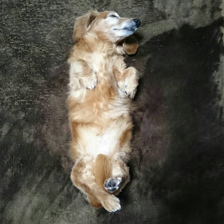 64d03933 2f48 4850 8755 72f413aa340c