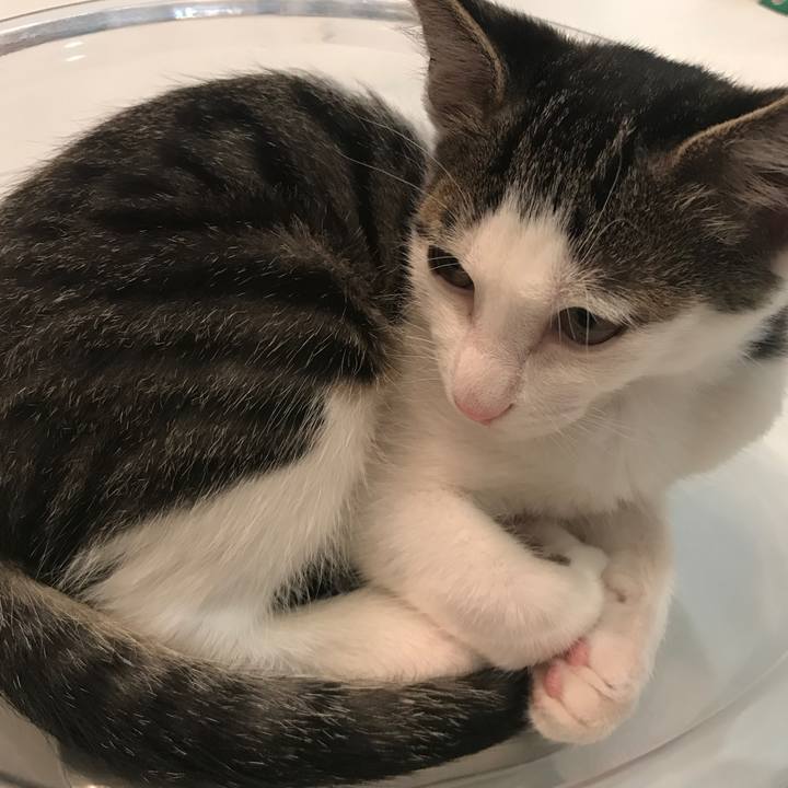 64d04188 10ff 43ef 9ae7 45869e83766a