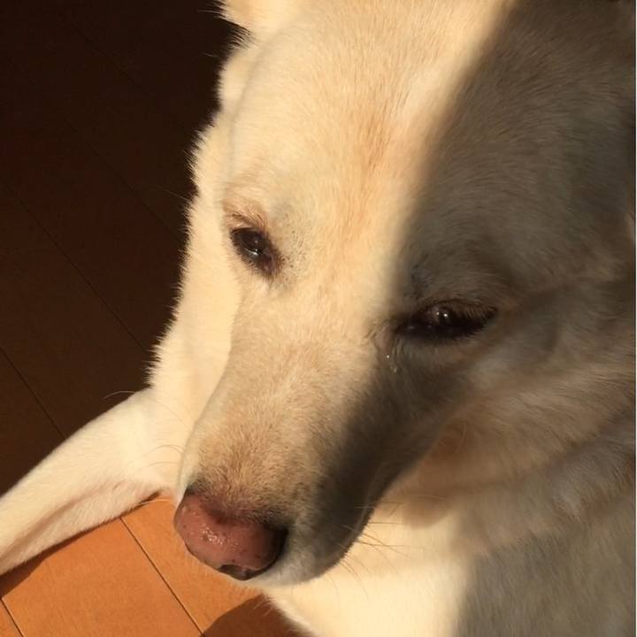 64d06dae c2ce 4c46 aa42 f031071e0750