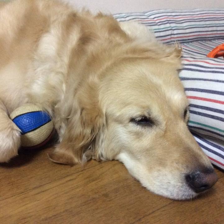 64d19c05 ea5c 4f22 ac3c bab6ca36c6b0