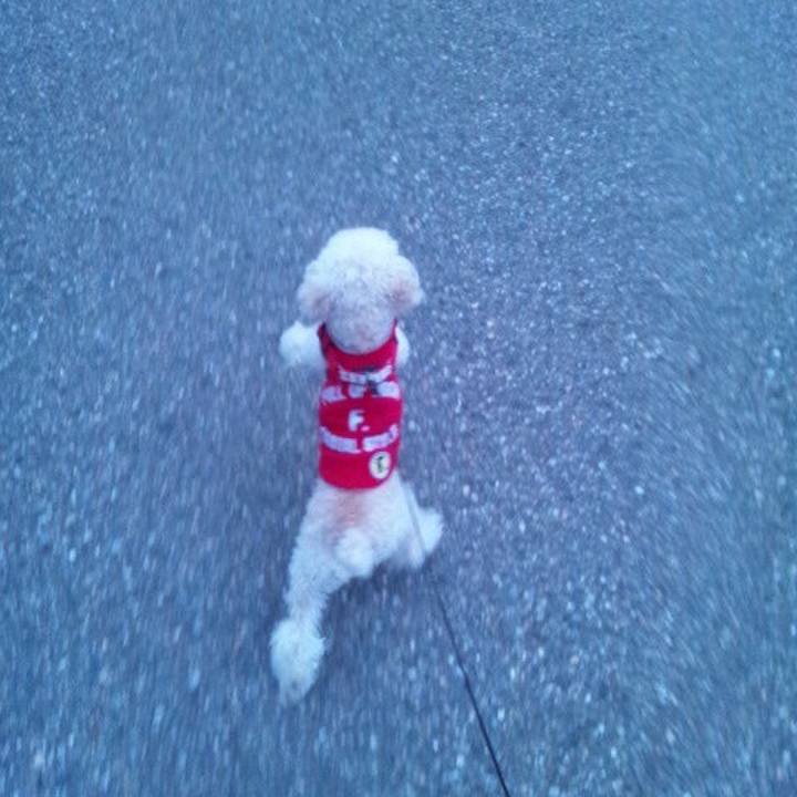 64d1dce2 68c2 49e3 bdf5 c4e9ad360588