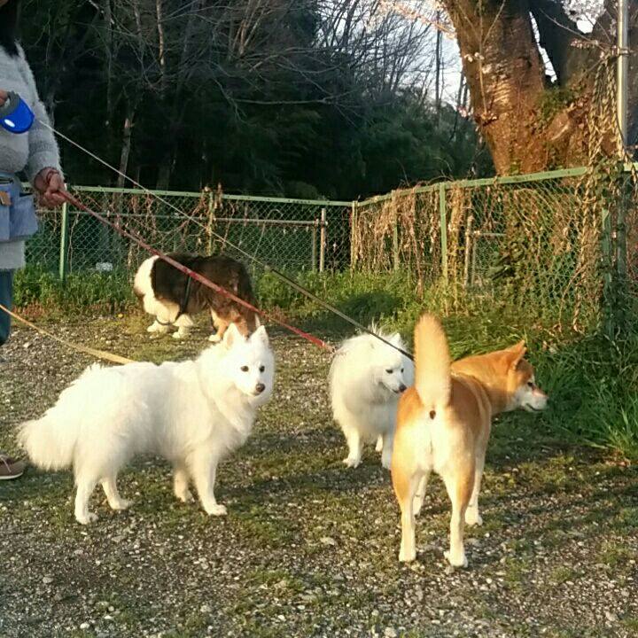 64d3e1ee c978 45f7 b5d3 06e163edb699