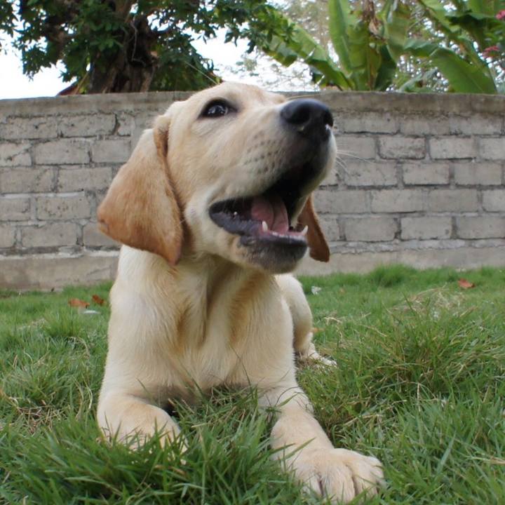 64d3e79c b46a 49b0 ac3e 070eff2481e9