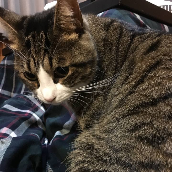 64d42532 5118 4985 be6f 978465a710de