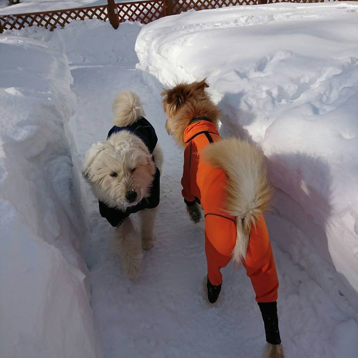 64d42a0e dbbb 4b16 a17d 5c252467ec45