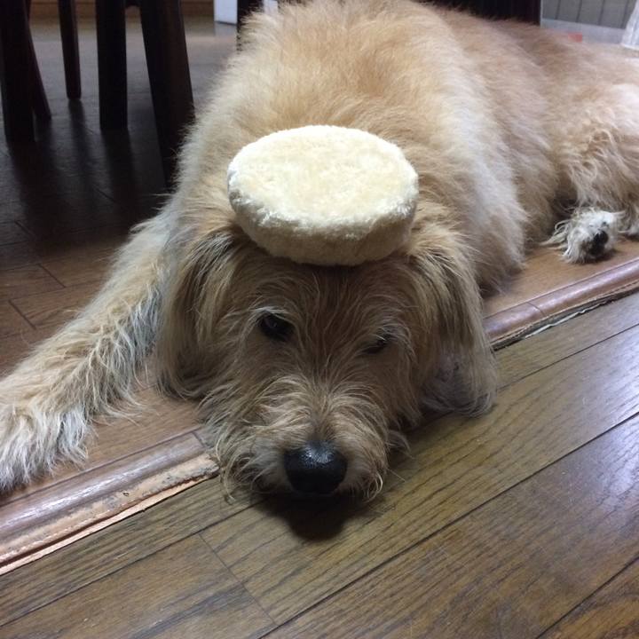 64d47031 95b8 4600 a80b 426baeccdc75