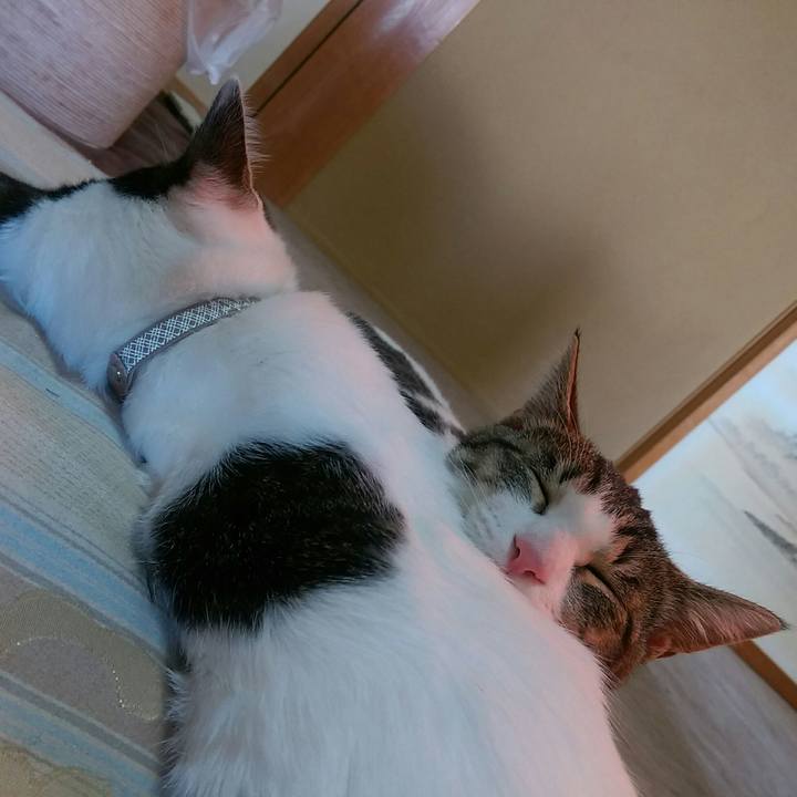 64d4b235 8984 41b5 bb72 fd9543bcebd9