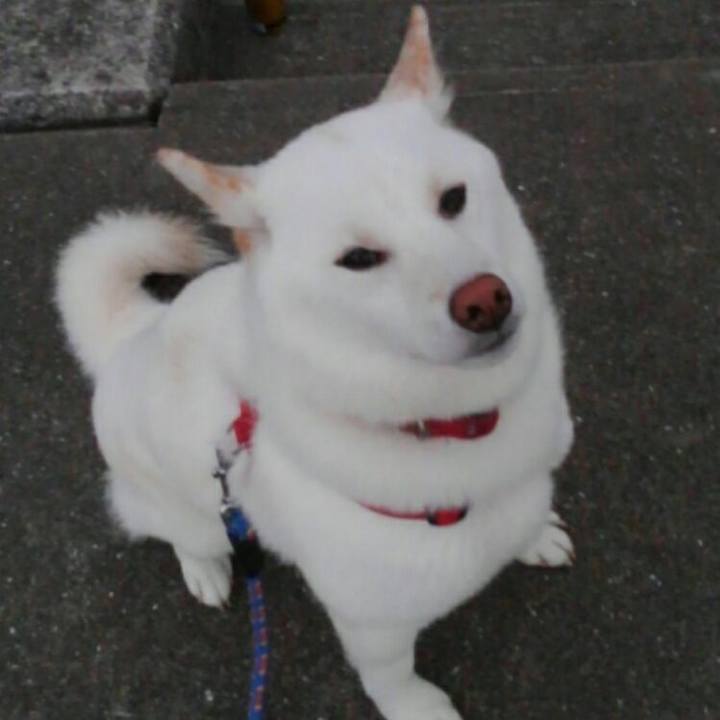 64d5423b 4bd1 46c2 afce 65bac8463f51