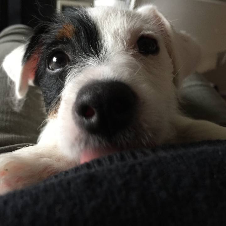 64d54bd7 8daf 4c92 b935 c9dbd2dc1460