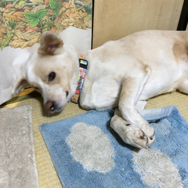 64d5886a 19d1 4a9a a229 9be36b8d73fe