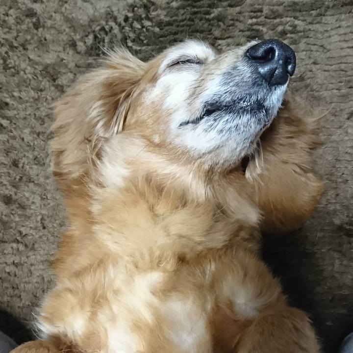 64d5b14d deb4 42bb 8071 2e2e56248049