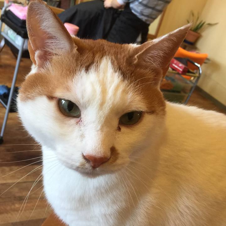 64d5d74f 5a8f 4a33 bd41 501e363eb9a4