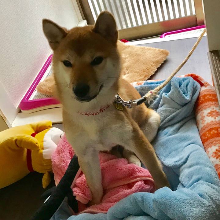 64d5e100 1f19 431a 84a5 6f297457c1d3