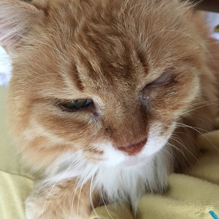 64d632ca db3c 4d8b 8fe4 c94eaa311982