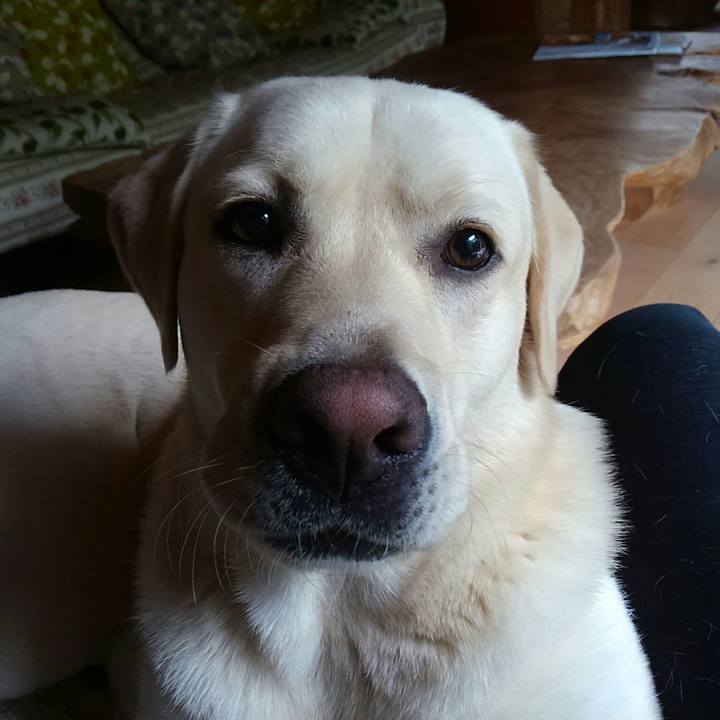 64d7430b b721 4b47 8c9e 4bcfeff3bc2f