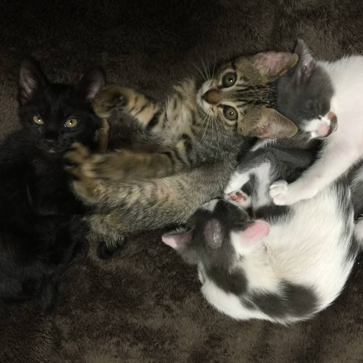 64d7b93e 89f0 44c3 a46a c5923276ec35