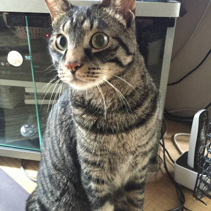 64d7d640 85ec 4618 88d5 f2719a486979