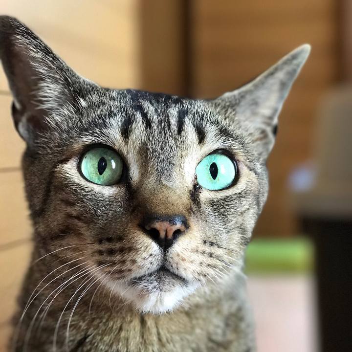 64d80c8f ff4b 4e5b a1c0 e24dddae4656