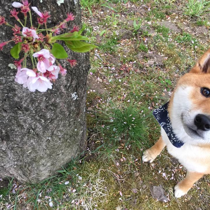 64d82f9f 384b 47aa 8fd2 5e3e47bb414e