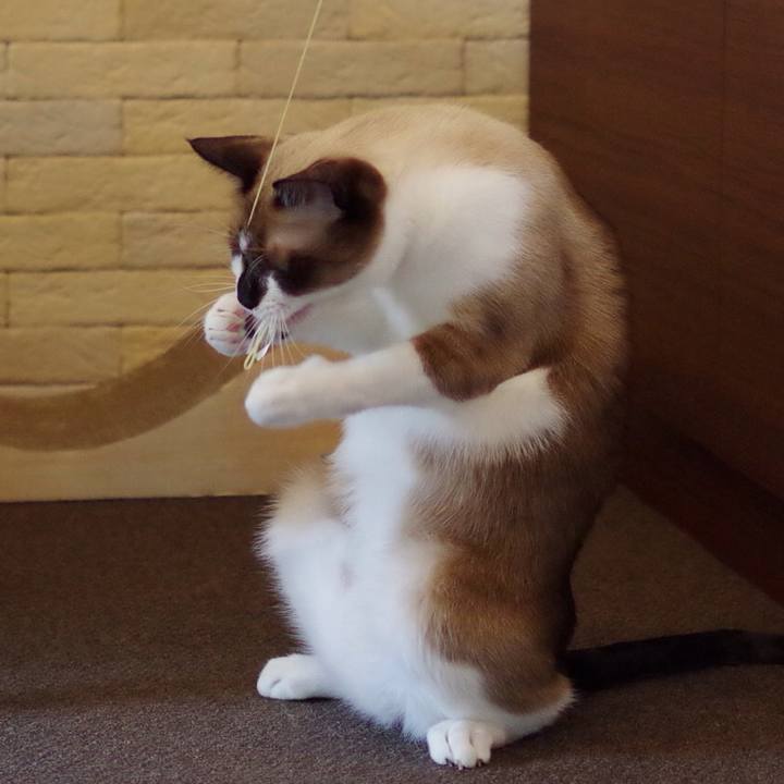 64d84210 c706 4c99 9645 6639dc8db394