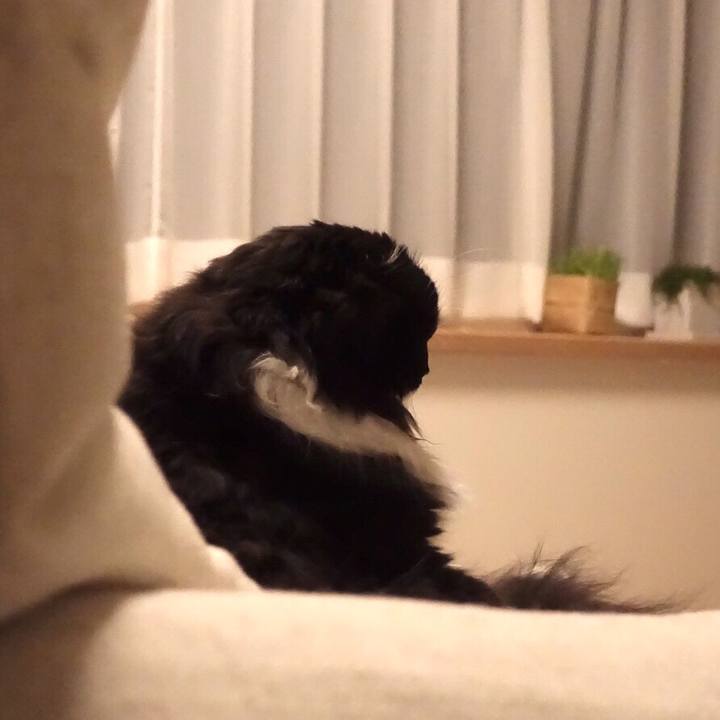 64d87d5d af52 4014 ad5a 35f4544263c3