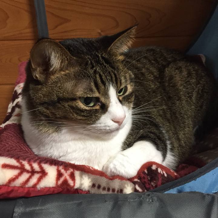 64d8c833 b35a 4123 93f5 821197d420ca