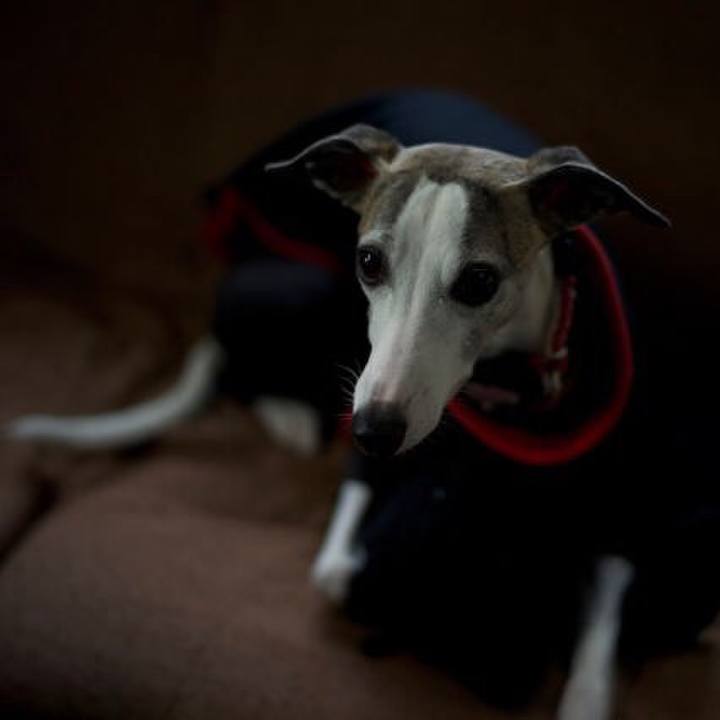 64d910b1 cf44 442a 8a58 c13f84f8dba1