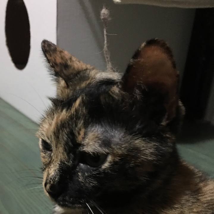 64d9408d b721 4844 a5b5 7f9a1c0d277d