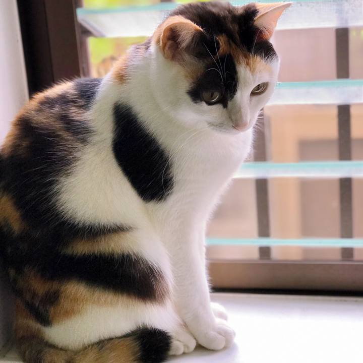 64d9fa50 abb9 437a 965f 91ced6fba0c5