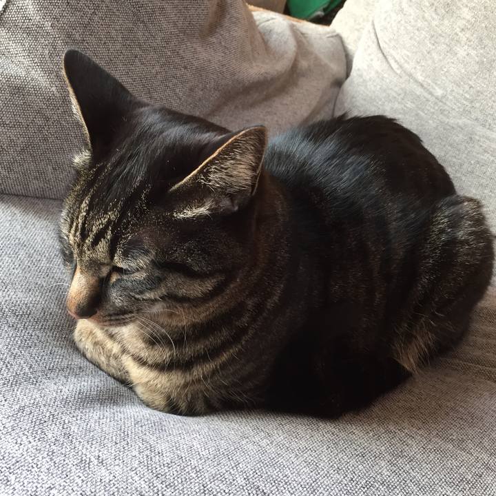 64da9226 81f0 42d4 b42f b1ef17181455