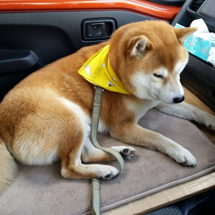 64dab0cb d721 45dd a6ca 9d0fab056eb5