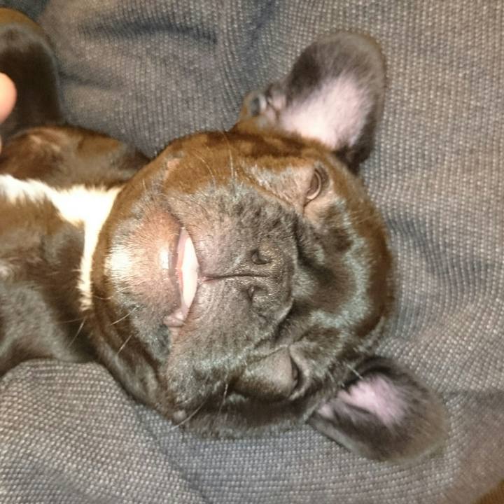 64daf1bf 6284 4168 845d ecc094836d21