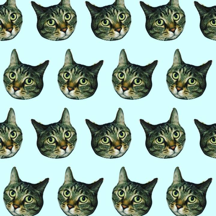 64dbbd5a 2d82 4ddd 8fd4 c3417741570d