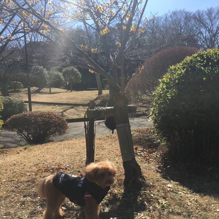 64dcc32e 61f1 4605 80b8 37e5302cf10a