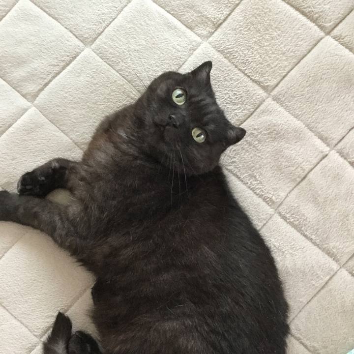 64dd8efc 8e85 477c 9335 c0cdb7f48d0d