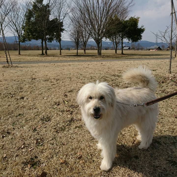 64ddc92a a62b 47ec a0af 351380cc6fca