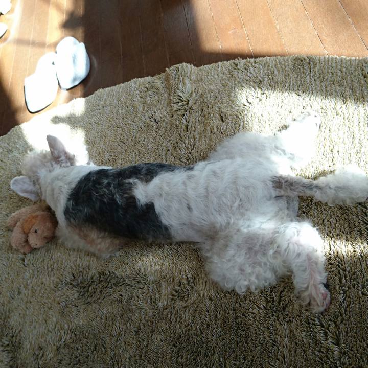 64de653d 8d28 4198 a2dc 242793845a8e