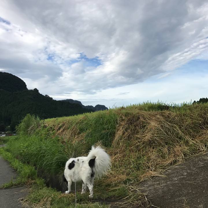 64de85b8 c361 4d89 a047 e1e44feb2bac