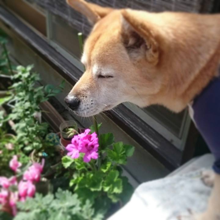 64dee90f dace 41d0 b8b9 e1f3acbc7397