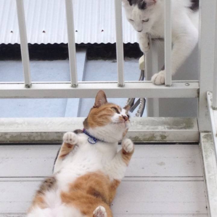 64deeeb3 194f 4da4 a0a3 d8b369823853