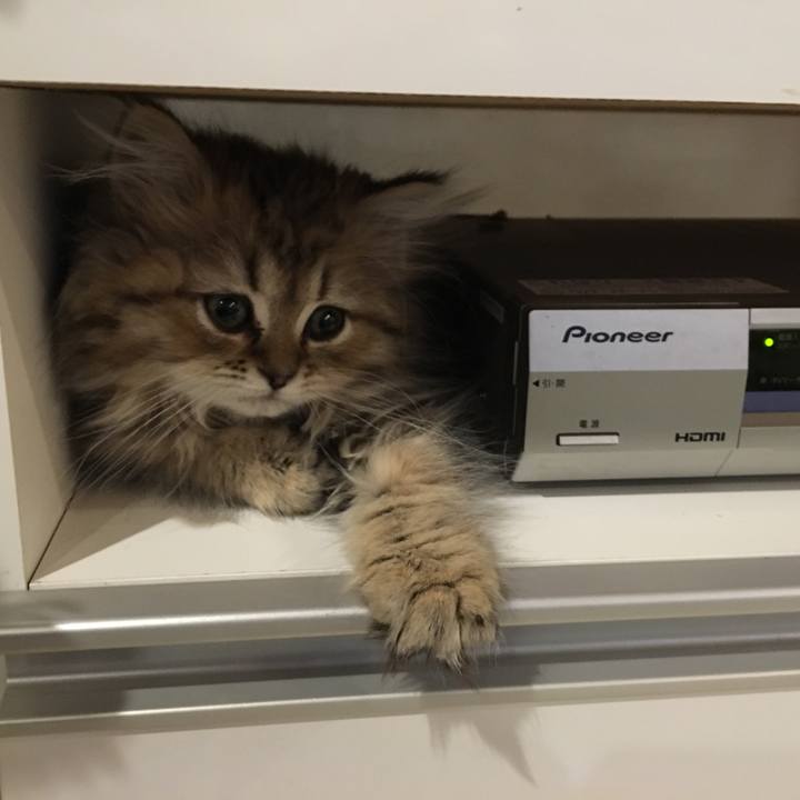 64df561e 3665 4982 9668 057fb28d2c0b