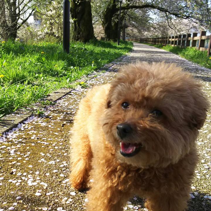 64df5628 c03b 4f92 97bc 57208f72a783