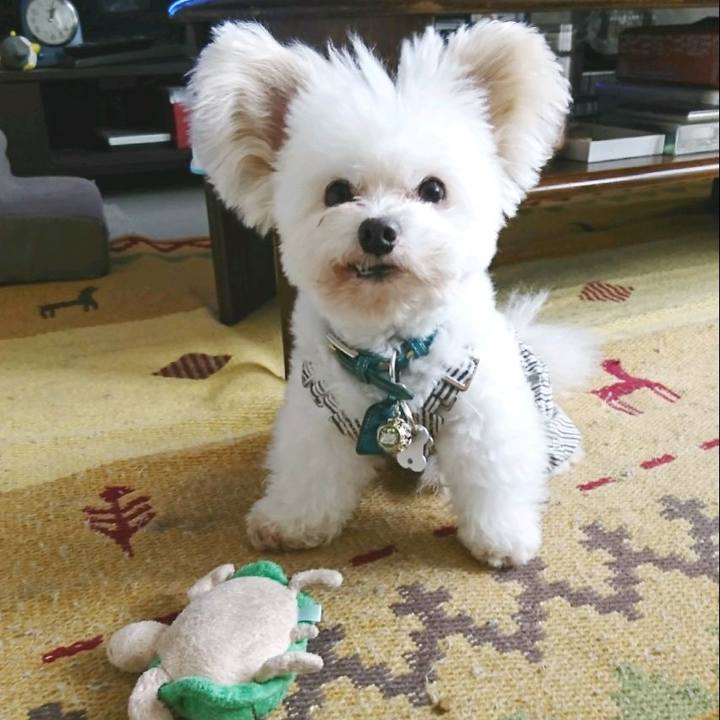 64df7c23 899e 4b23 bc69 5a0695eb3aea