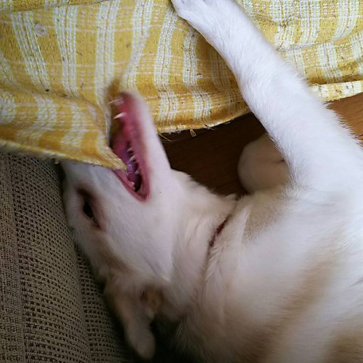 64dfa76b ef5e 4e1b 9930 ca72d20814d2