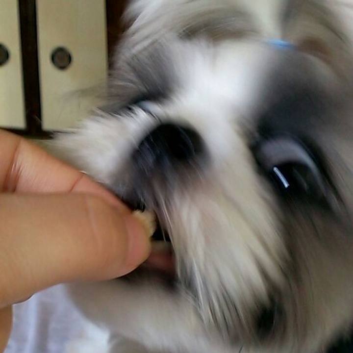 64dfc387 f8e9 4c17 9e6e 2a9e7d9ec551