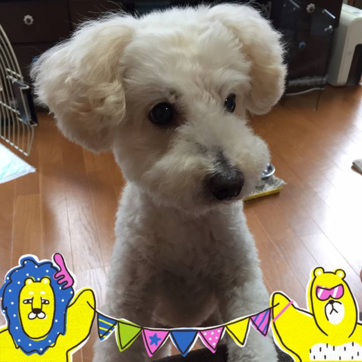 64e05ece 6687 4812 a658 3bb4952a5f48