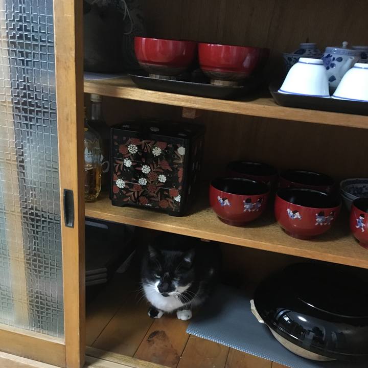 64e0e982 8978 41ee 8b4c 002fa6b7cfb0