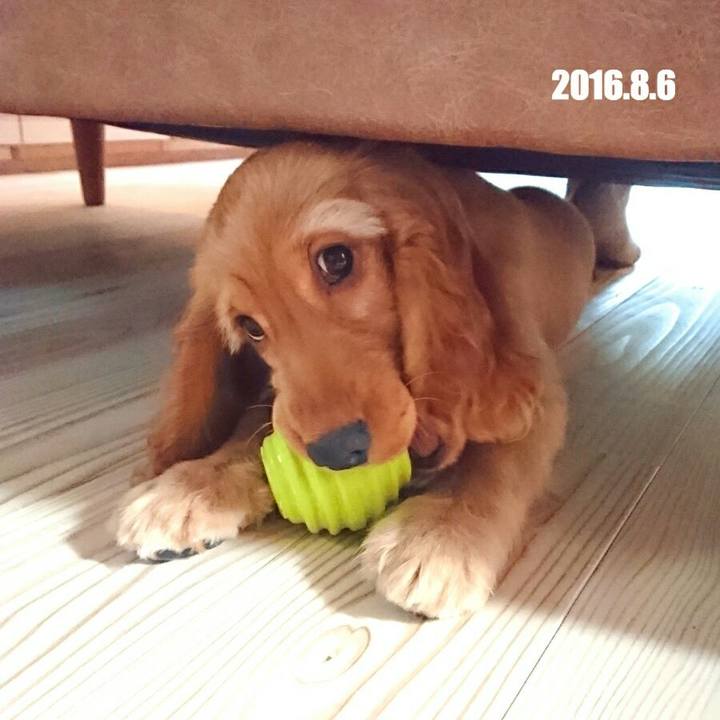 64e12437 d05f 4750 80b9 df269c508629